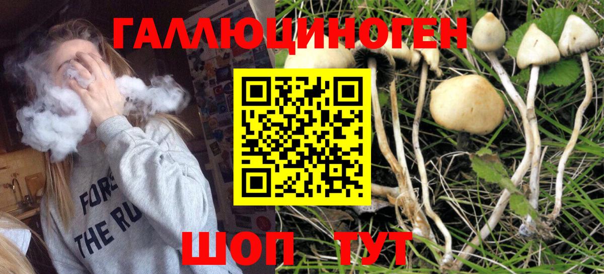 Нижнеудинск  Псилоцибиновые грибы прущие грибы  Вход с VPN 